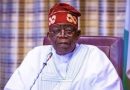EXCLUSIVE: How Tinubu Violated Nigerian Electricity Act In Appointment Of APC Chairman, Ganduje’s Son As Director Of Rural Electrification Agency