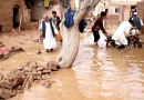 Afghanistan’s flood death toll hits 50